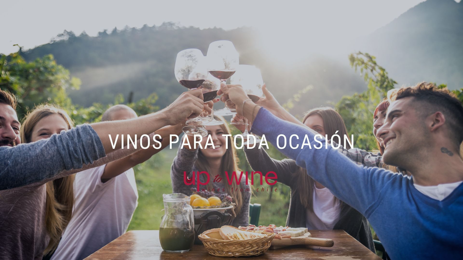 Up To Wine - Banner 1
