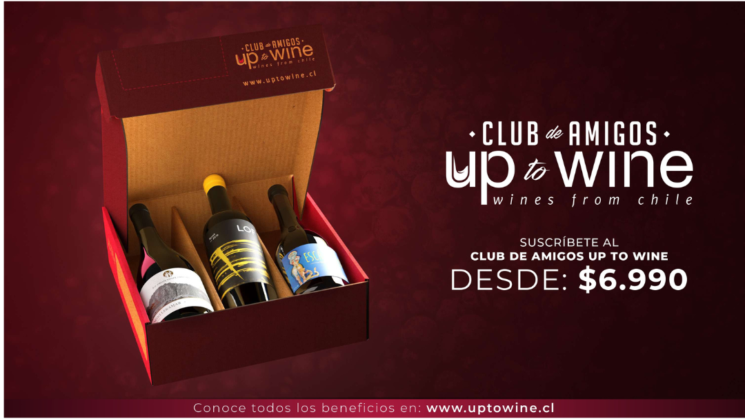 Suscribete al club up to wine